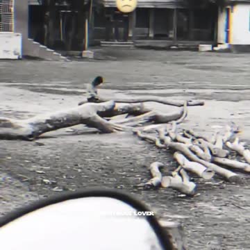 Alone but very happy