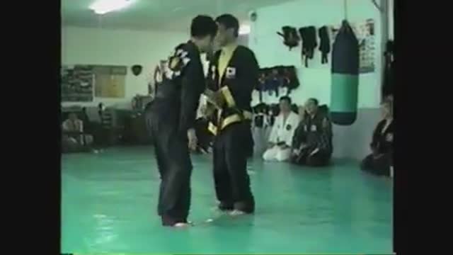 Hanminjok Hapkido