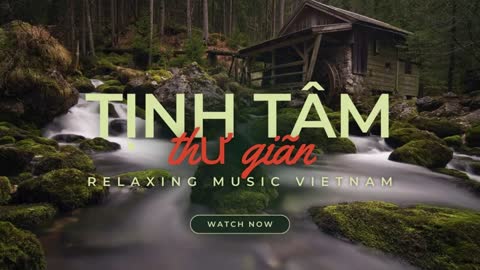 Relaxing Music | Sleeping, Meditation, Stress Relief | [5970] ⭐️