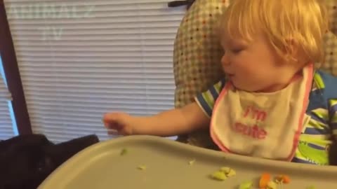 funny babies laughing hysterically