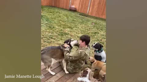 Pitbull Dog Couldn't Contain His Joy When He Saw Owner Home 🐶