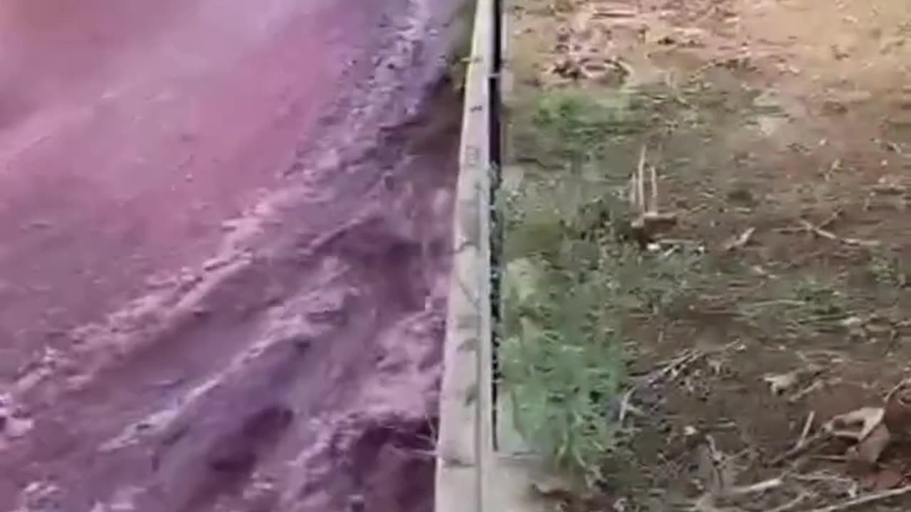 River of Red Wine Floods Streets In Portugal Village of Sao Lourenco de Bairro in Anadi