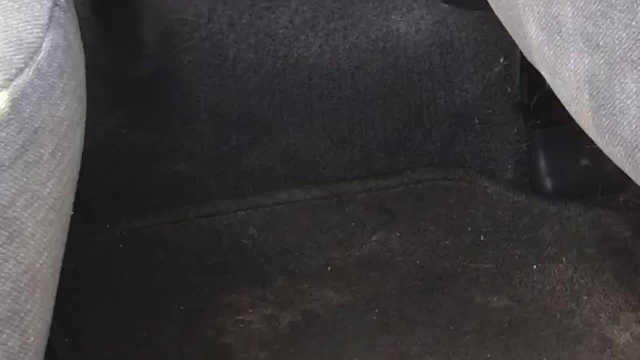 Cleaning a classic Honda Accord part 2
