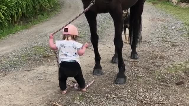 Adorable kid with Horse