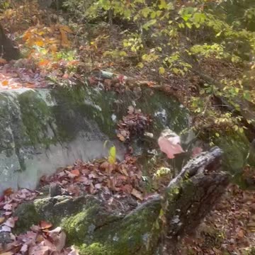 Moss Rock Preserve 2