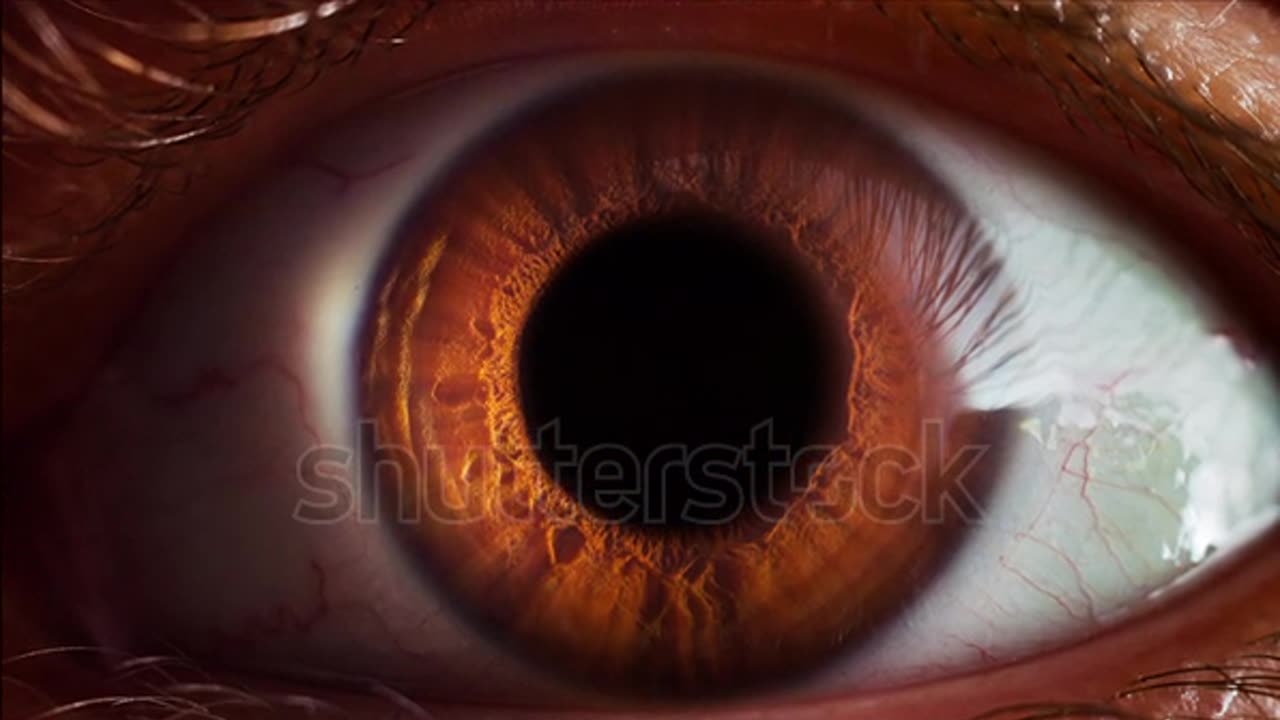 Eye iris and pupil macro.