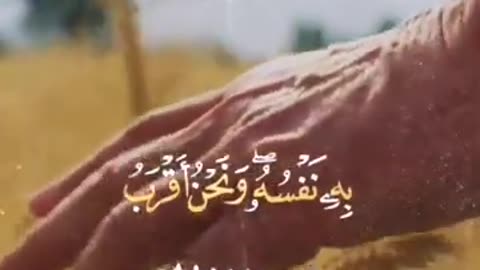 #Quran