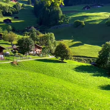 The serenity in the Field