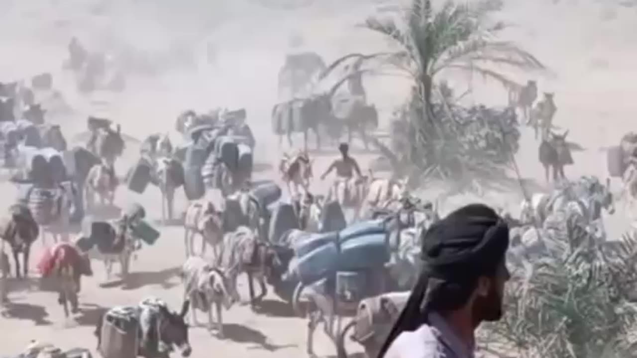 Transportation by Donkeys at Mountain