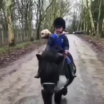 Best Minihorse Rider