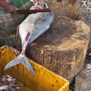 Amazing Cutting Skills - Giant Carp Fish Cutting In Bangladesh Fish Market -