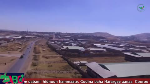 Qophii Arraata Biyyoolessa Oromiyaa Fulbaana 5, 2023