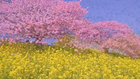 "The flowers of spring will not miss each other every year"