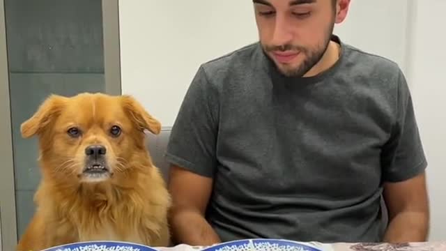 Moment of sharing😂😂👨🏻🐕 #pumbastyle #fyp #dog #tiktokdogs #pet