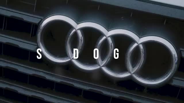 S Dog - Hoods Hottest (Part 2) # P110