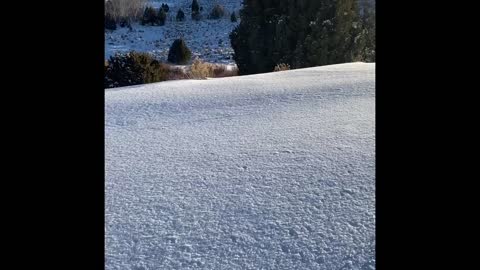 Running in the mountains of Utah. Wait for it!!