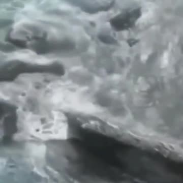 Mysterious Shark Videos