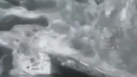 Mysterious Shark Videos
