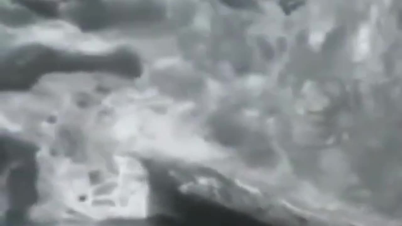 Mysterious Shark Videos