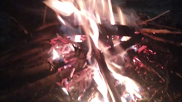 Camp fire in winter session