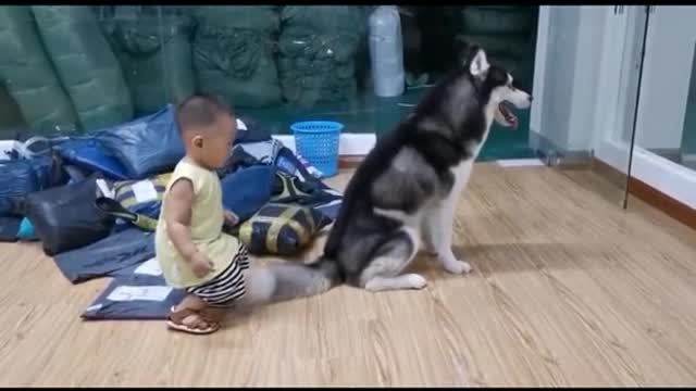 Boy learns to sit like dog