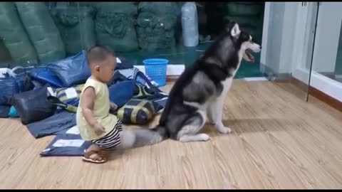 Boy learns to sit like dog