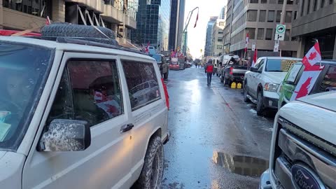 Freedom Protest Ottawa February 7 1pm. Looks like the boys are tired of being quiet.