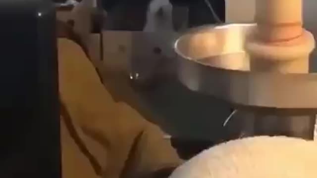 This guys got the moves..lol