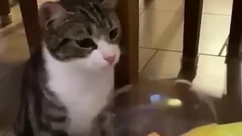 Funny 😂 video