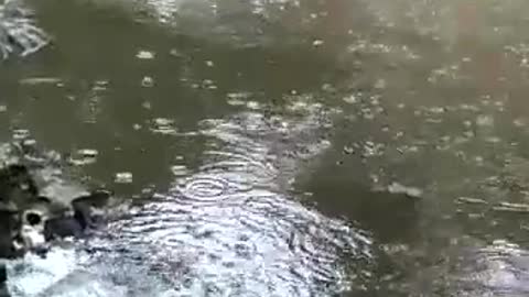 Hotel in the MT Brasil wetland completely flooded