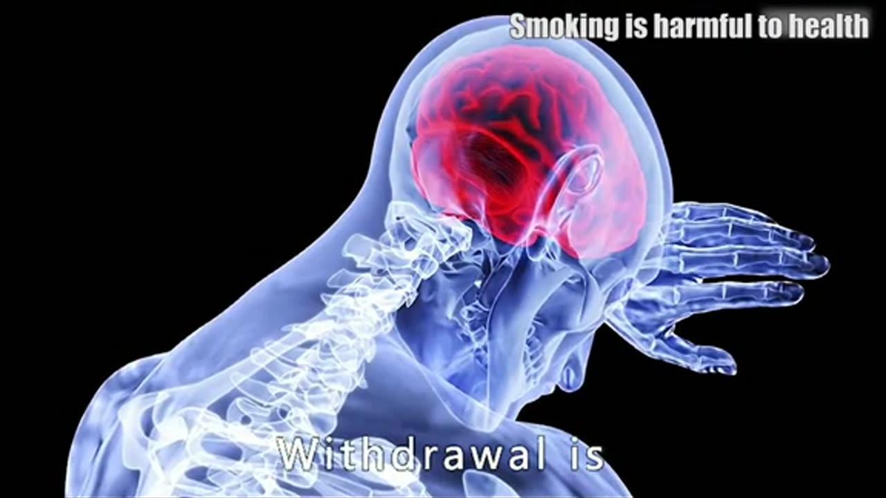 Why a Pack of Cigarettes Is 20?