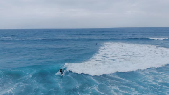 Surfers Ring The Waves Of The Sea