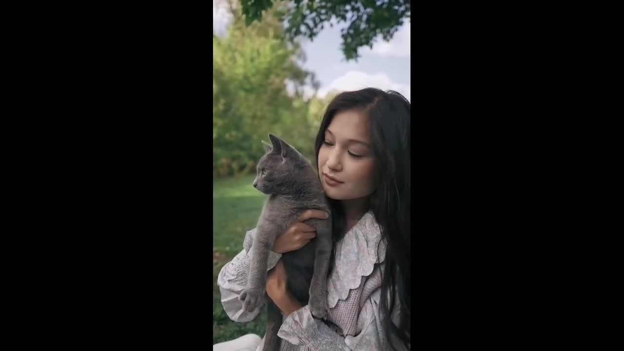 cute cat video, cute cat