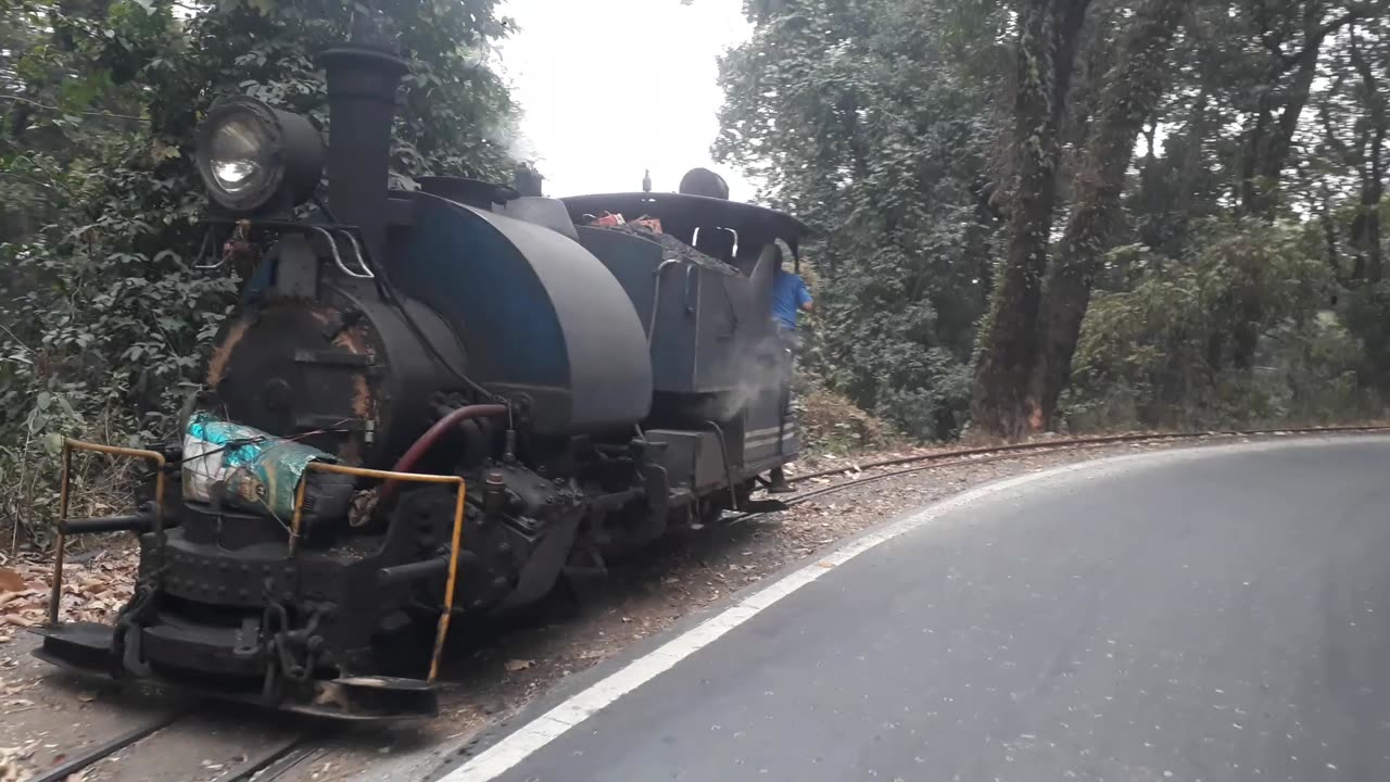 Darjeeling toy train