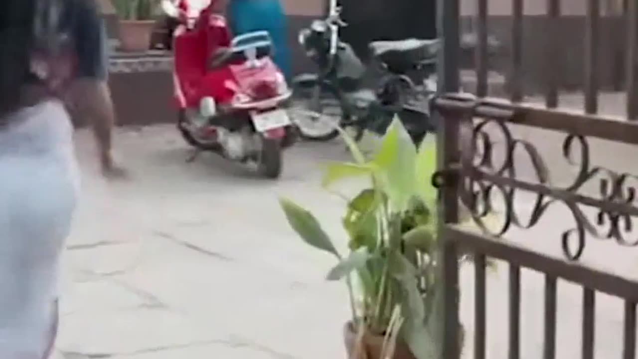 Unbelievable Ring Size Leaves Everyone in Awe