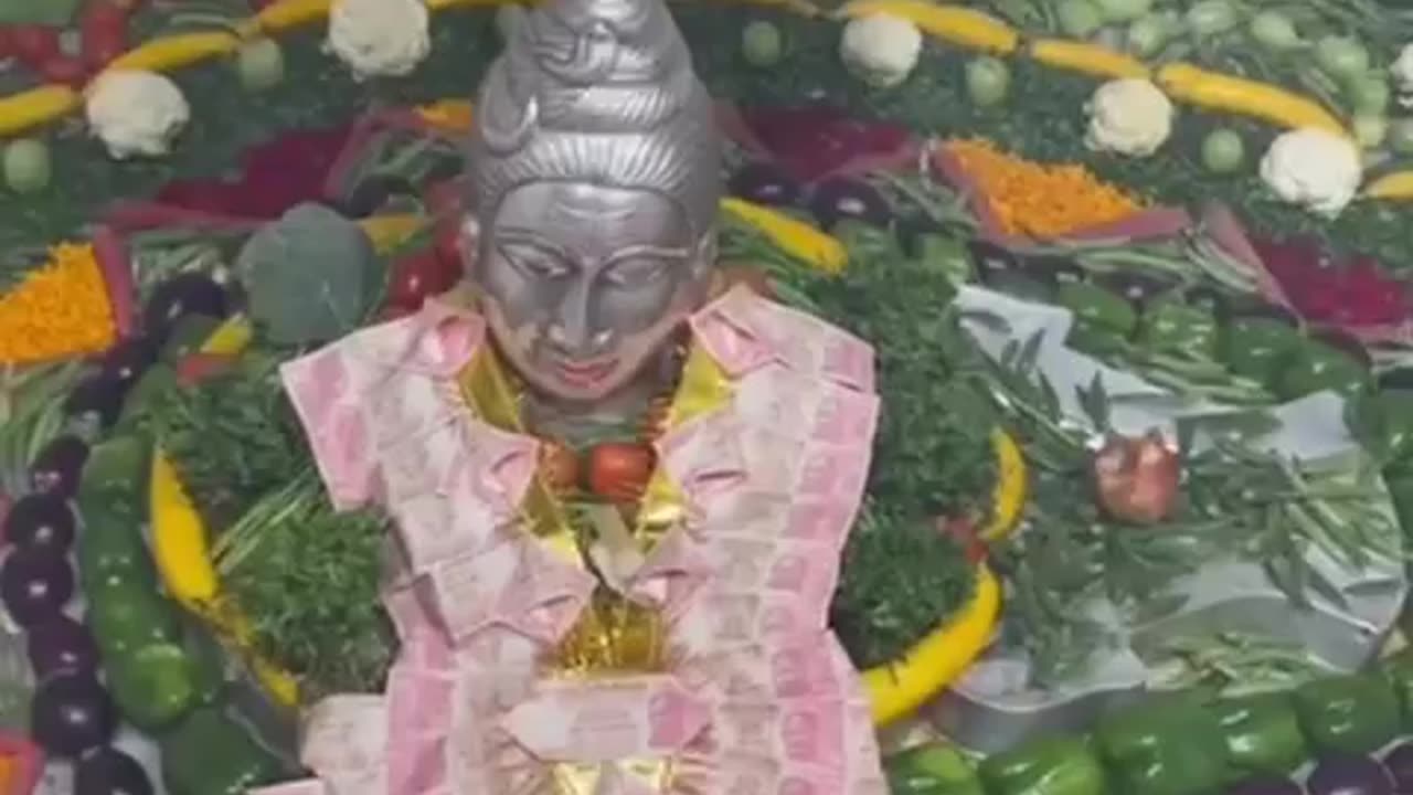 #Shambu bus tu hi tu