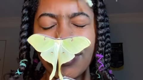 A GIANT MOTH THAT THIS WOMAN FEARED TURNED HER INTO BEING A CARETAKER FOR THEIR BABIES THAT LED TO HER RAISING EVEN MORE !