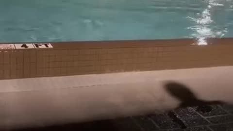 News Break: Don't Do It