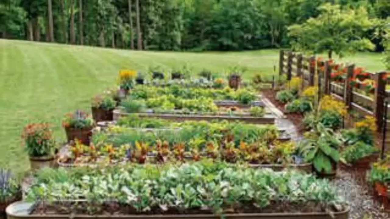 Home/kitchen garden