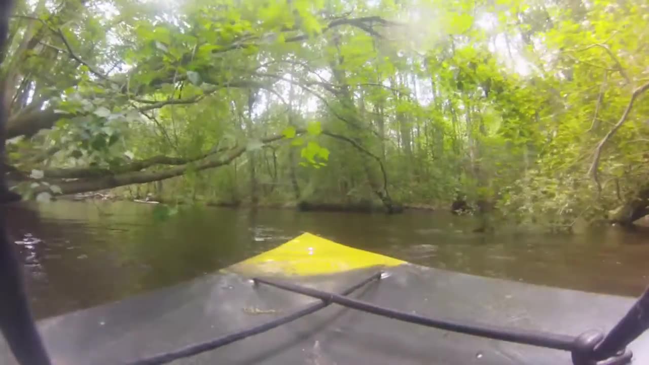 Lumber River , Wagram, NC