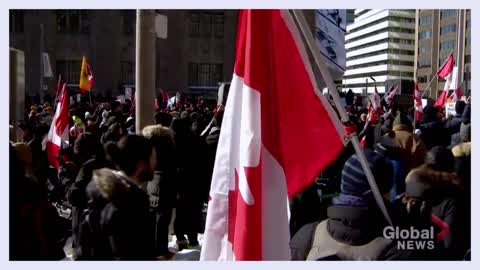 Trucker protests: Parts of Toronto see large crowds for anti-mandate demonstrations