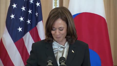 Kamala Harris states that the Netflix show "Squid Game" is an illustration.