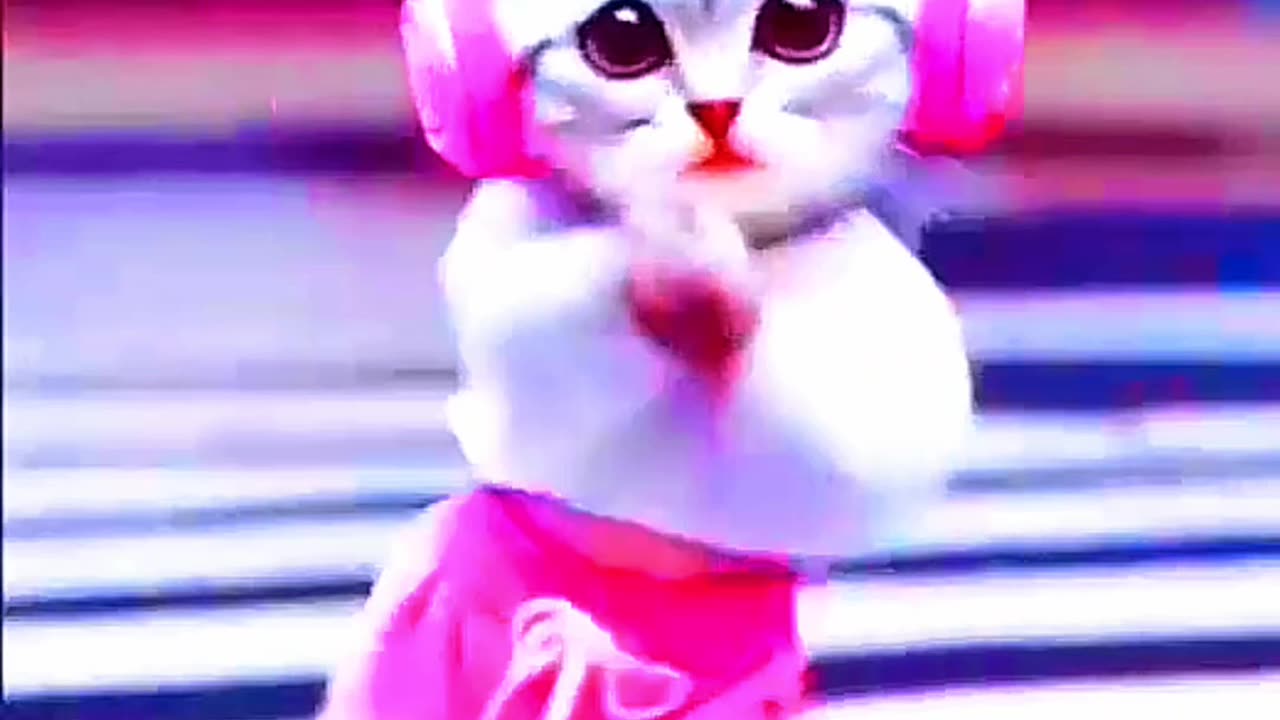 Cat dancing video //dancing cat