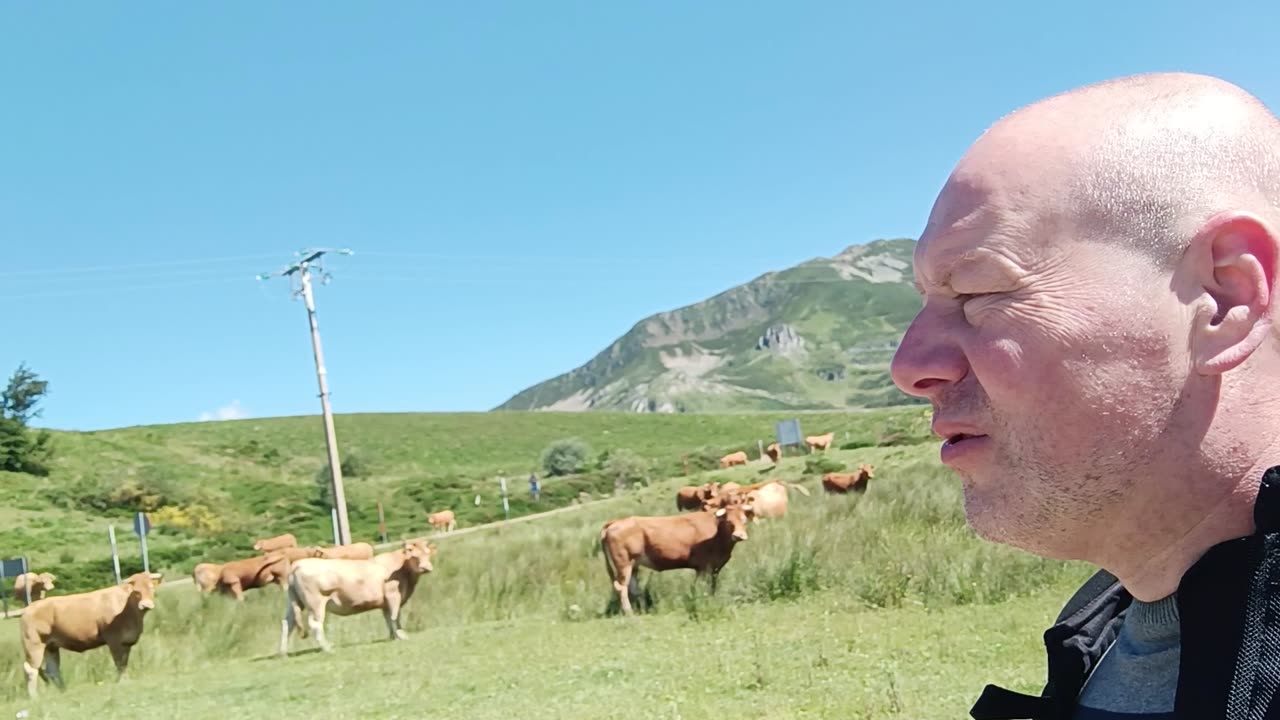 Spanyol Csapatás Reloaded 12. - Elérhetetlen steak tehenek