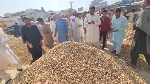 Penet harvesting