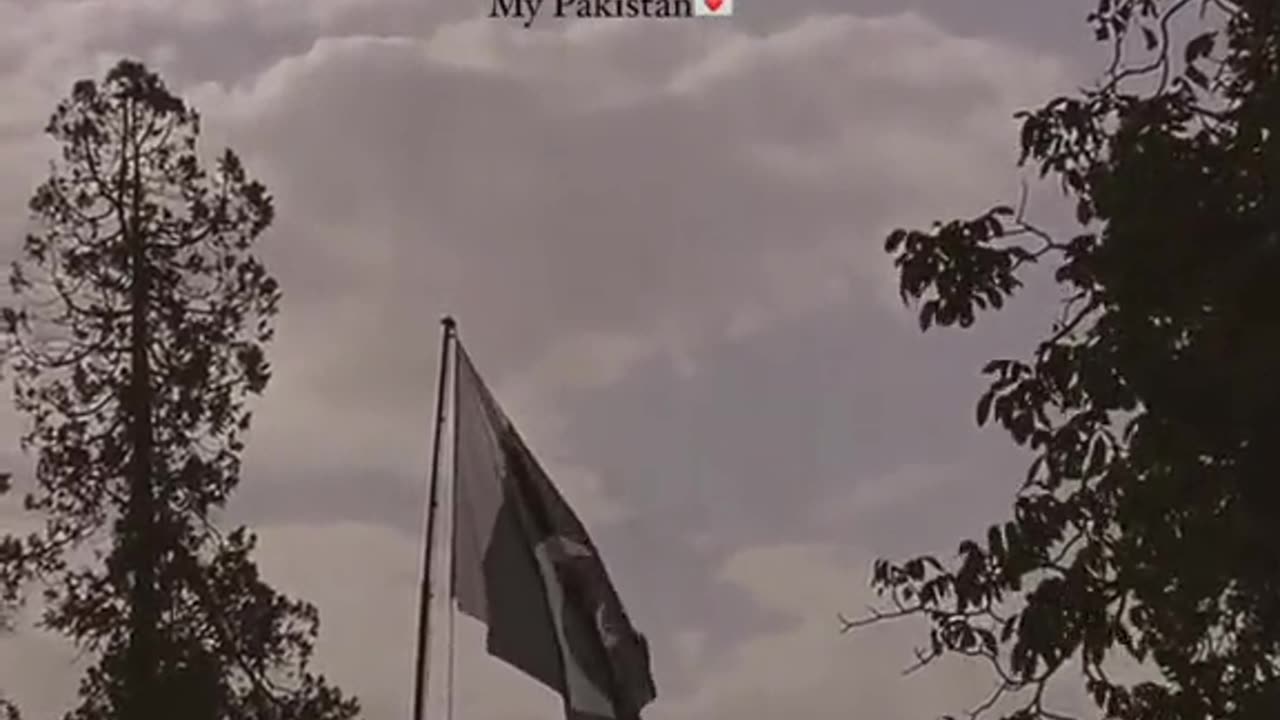 Happy independence Day 🫡
