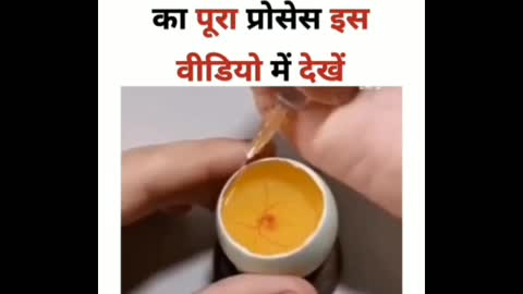 🥚 egg to chuza