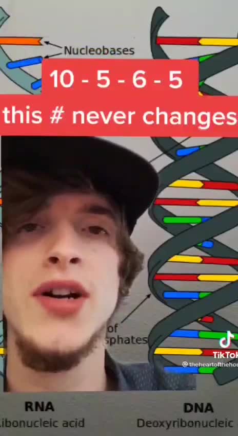 PROOF! GOD is in Our DNA