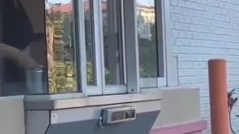 Raccoon Gets A Doughnut From Dunkin Drive Thru