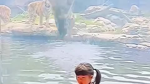 Tiger and Child - Credits_ Unknown --(1080P_HD)